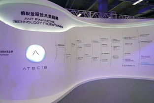 江蘇中理網絡科技 支付寶服務器意外中斷背后的互聯網銷售策略與風險管控